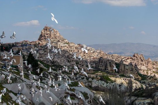 Tour image 13