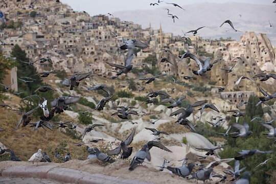 Tour image 2