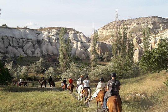 Tour image 13