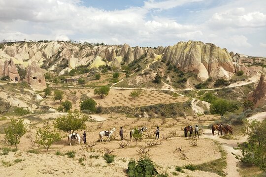 Tour image 13