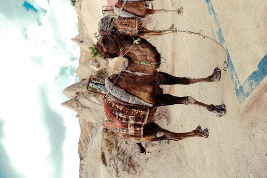 Tour image 4